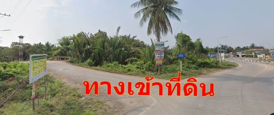 ที่ดิน เหมาะสำหรับทำโกดัง โรงงาน คลังสินค้า สมุทรสงคราม 2-3-29 ไร่