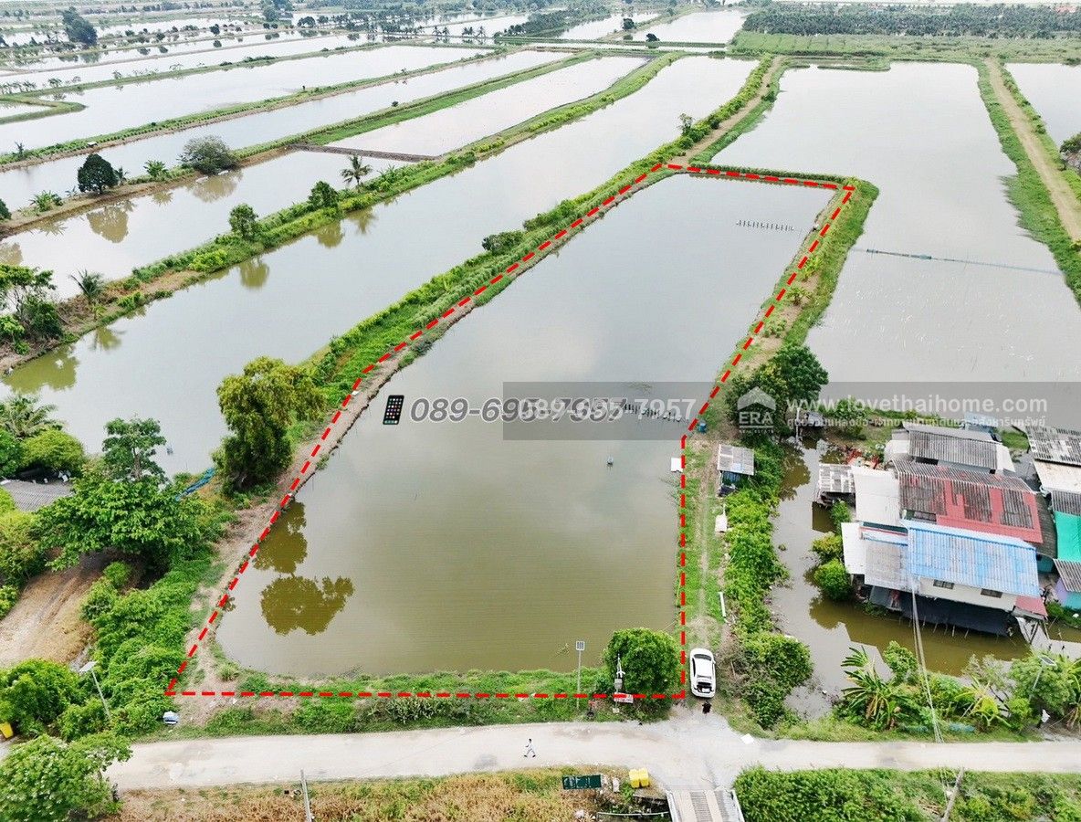 ขายที่ดิน บางนา-ตราด กม.26 ติดคลองกาหลง (ซอย ABAC) หรือเลียบมอเตอร์เวย์ พื้นที่ 3ไร่ กับ173ตารางวา ขายต่ำกว่าราคาประเมินกรมที่ดิน ขายเพียงแค่ 2,260 บาท/ตรว.เท่านั้น หาราคาแบบนี้ไม่มีอีกแล้ว