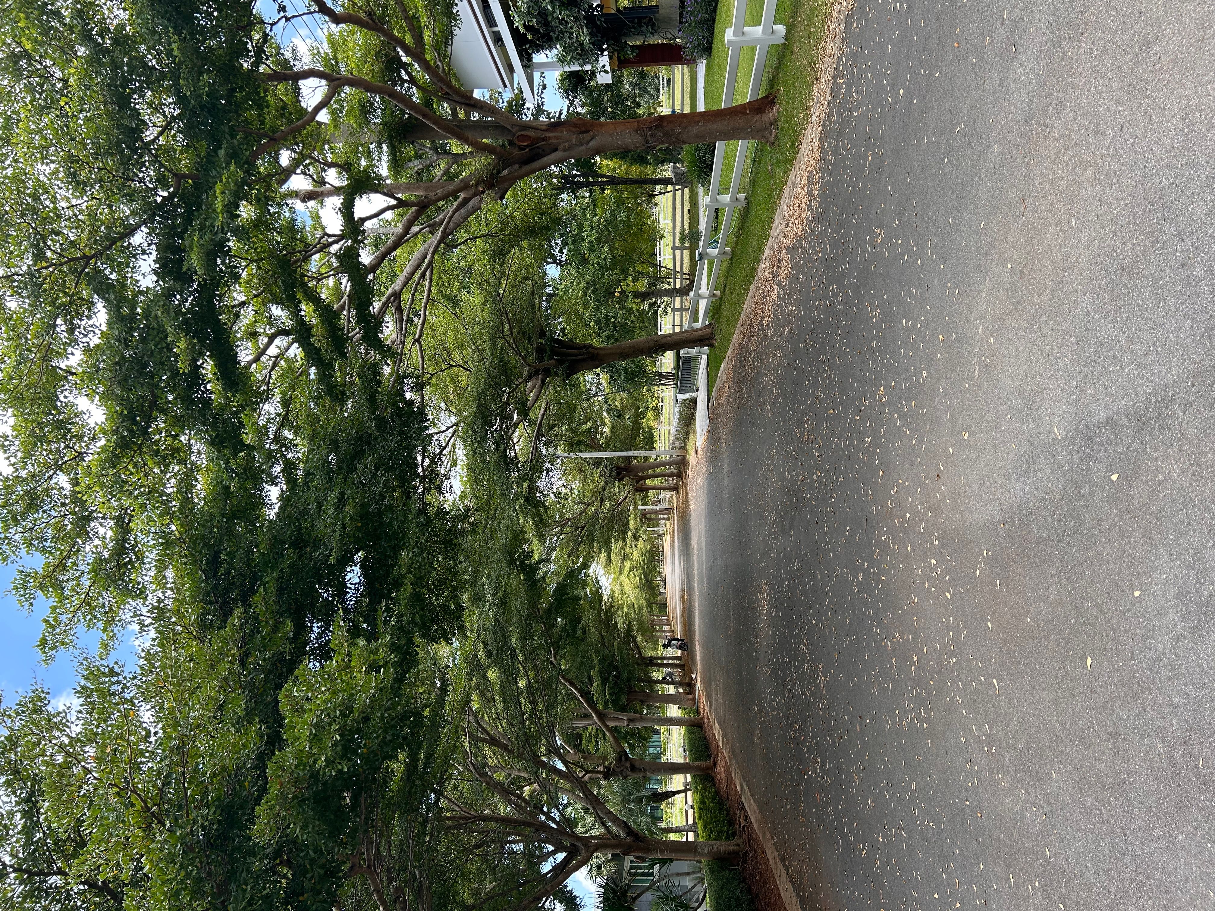 ขายที่ดินในโครงการภูพราวฟ้า