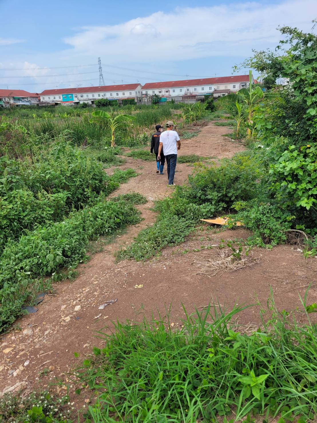 ที่ดินเปล่า อยุธยาฯ