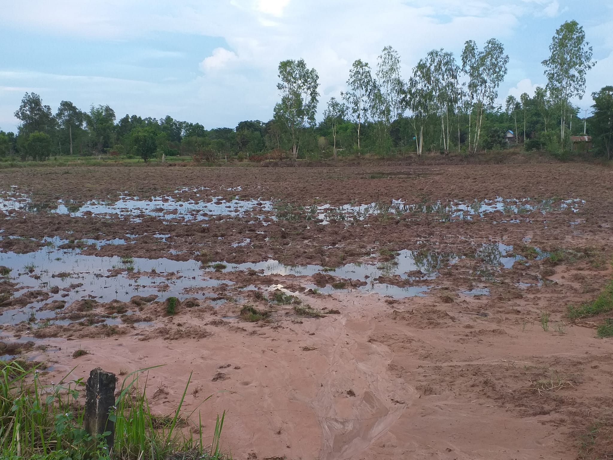 ขายที่ดินอุบลฯ เมืองอุบลฯ 7-0-43
