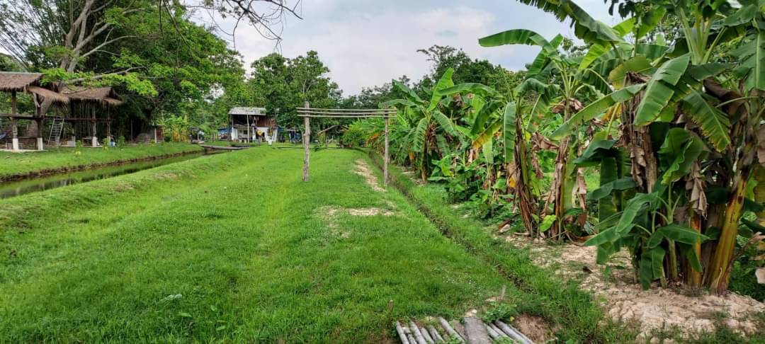 ที่ดิน 4ไร่ สันทราย+ติดน้ำ+วิวเขา เชียงใหม่ 