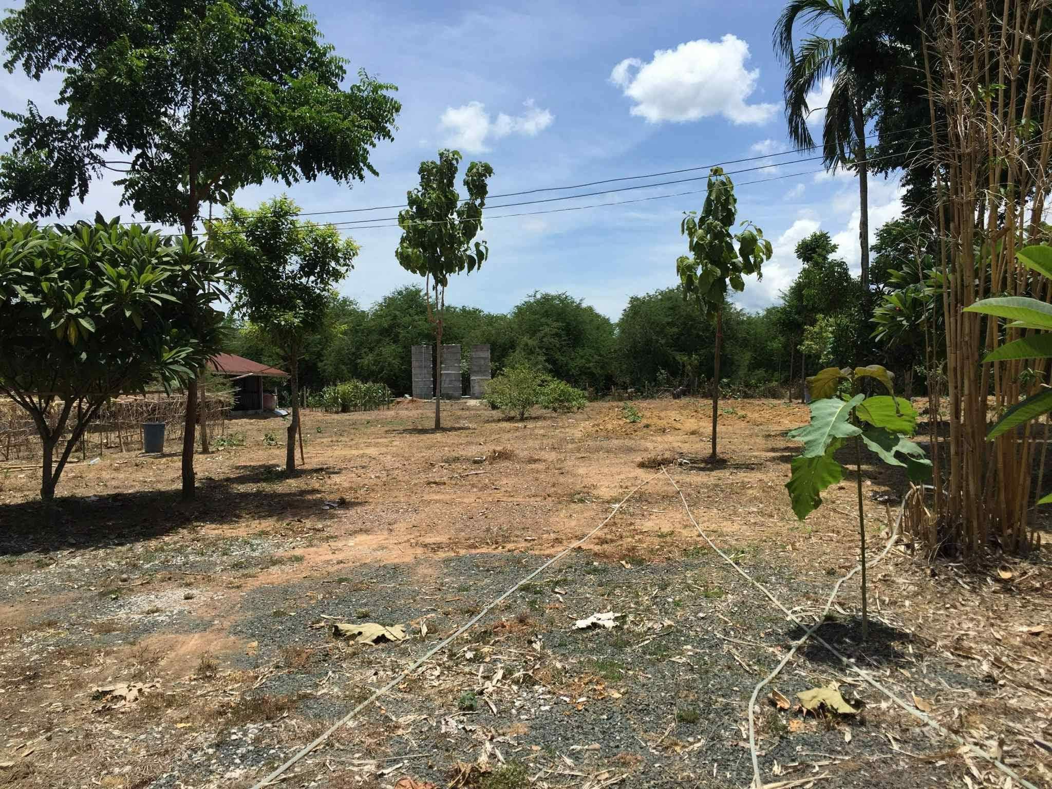 ที่ดินเพชรบุรณ์อำเภอเมืองใกล้ถนน
