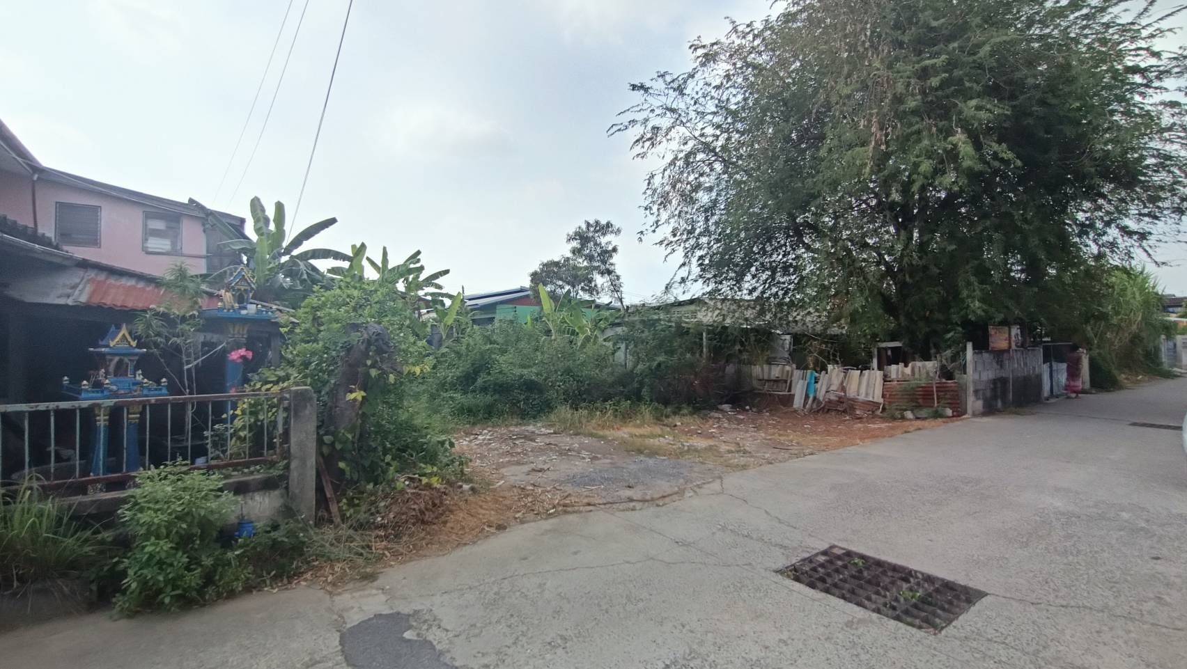 ขายที่ดินเปล่าวังน้อย อยุธยา 59ตร.ว.