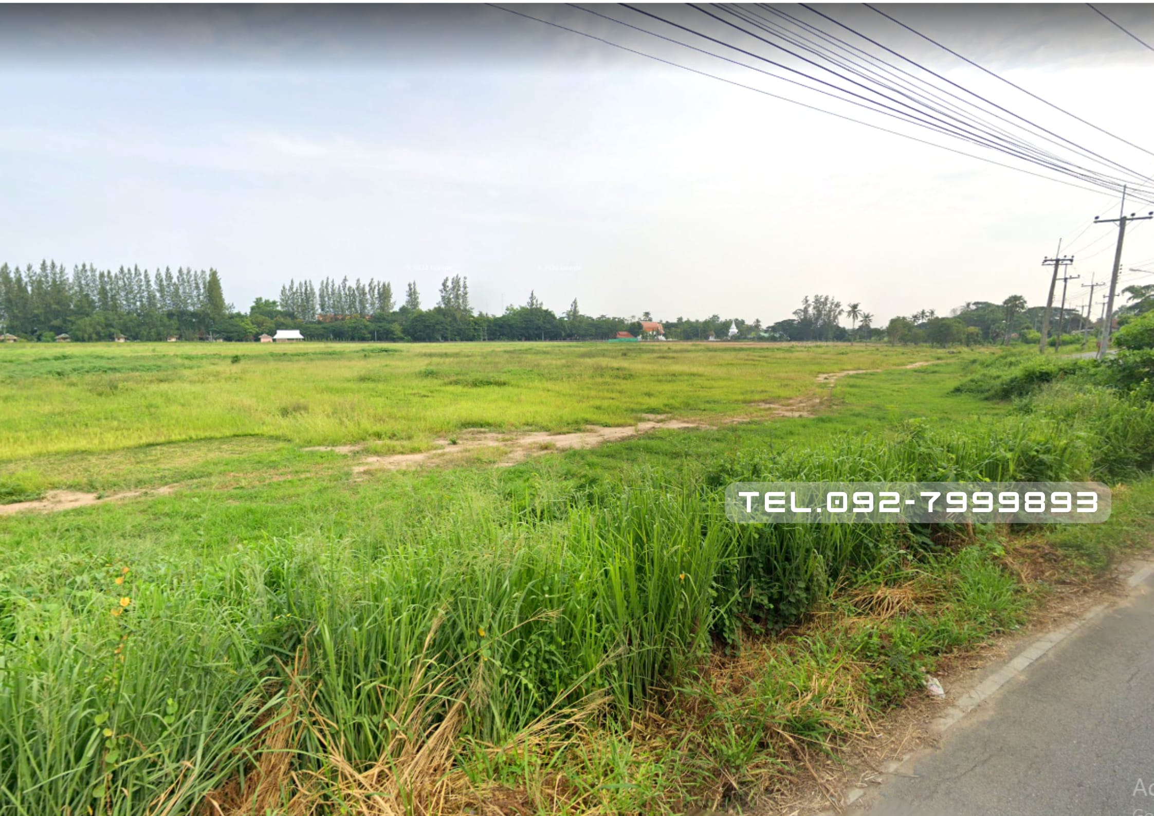 ขายที่ดิน 79 ไร่ ต.ต้นธง เมืองลำพูน ใกล้แม่น้ำ ใกล้แหล่งชุมชน