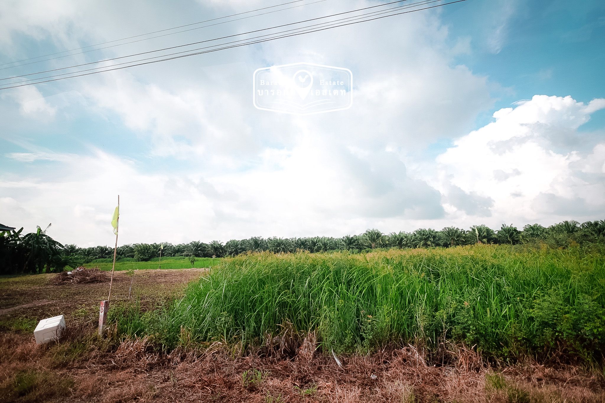 ที่ดินเปล่า แปลงสวย ทำเลคุณภาพ