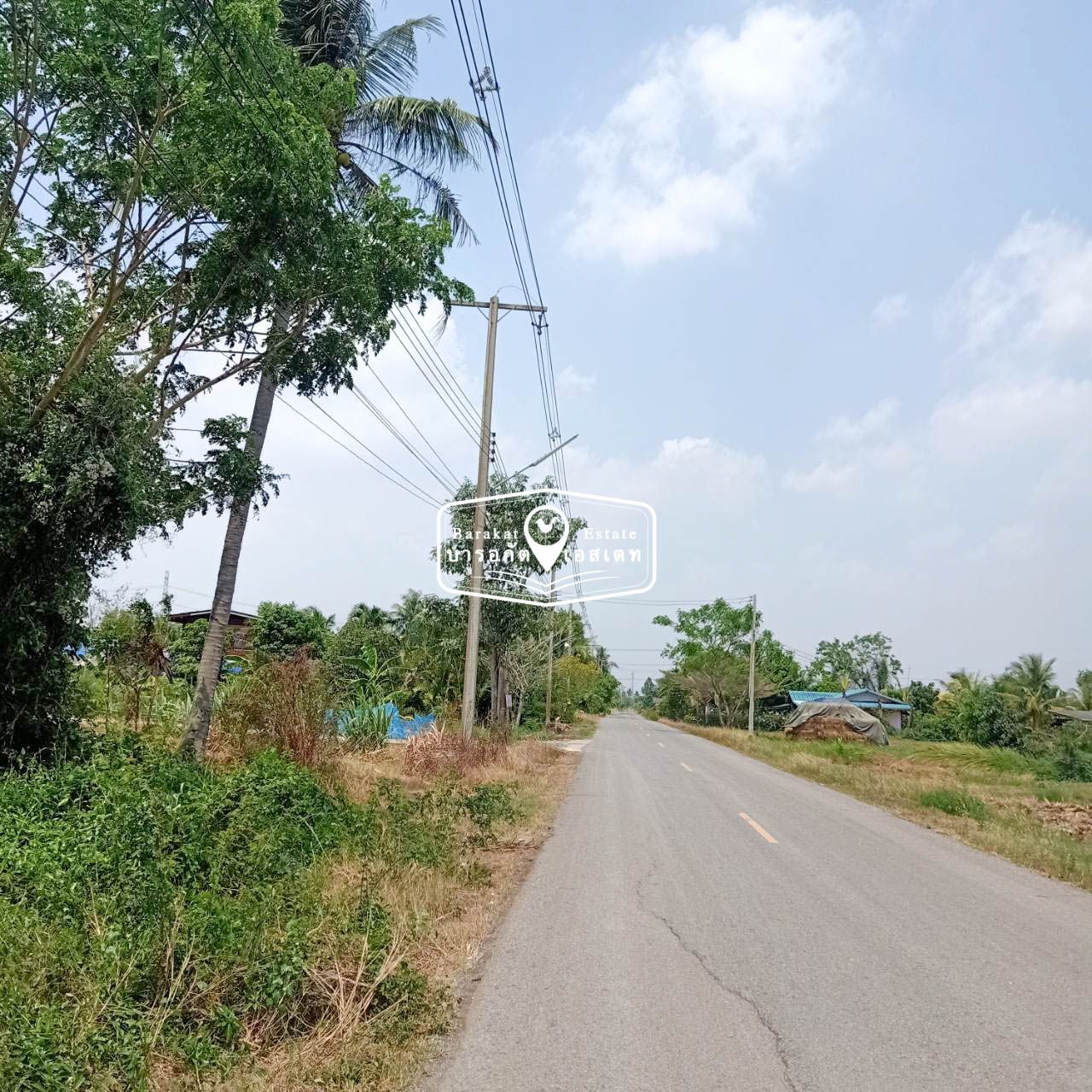 ที่สวยติดริมถนน เนื้อที่ 1 ไร่ ตำบลหมอนทอง