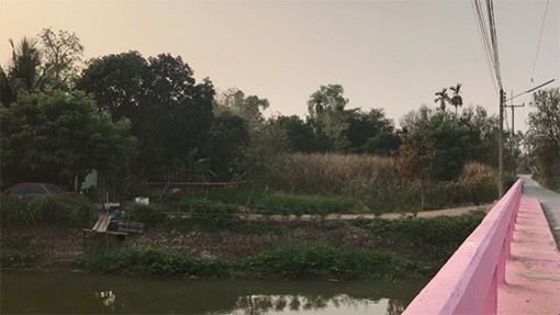 ขายที่ดินติดคลองชลประทาน หนองแค สระบุรี
