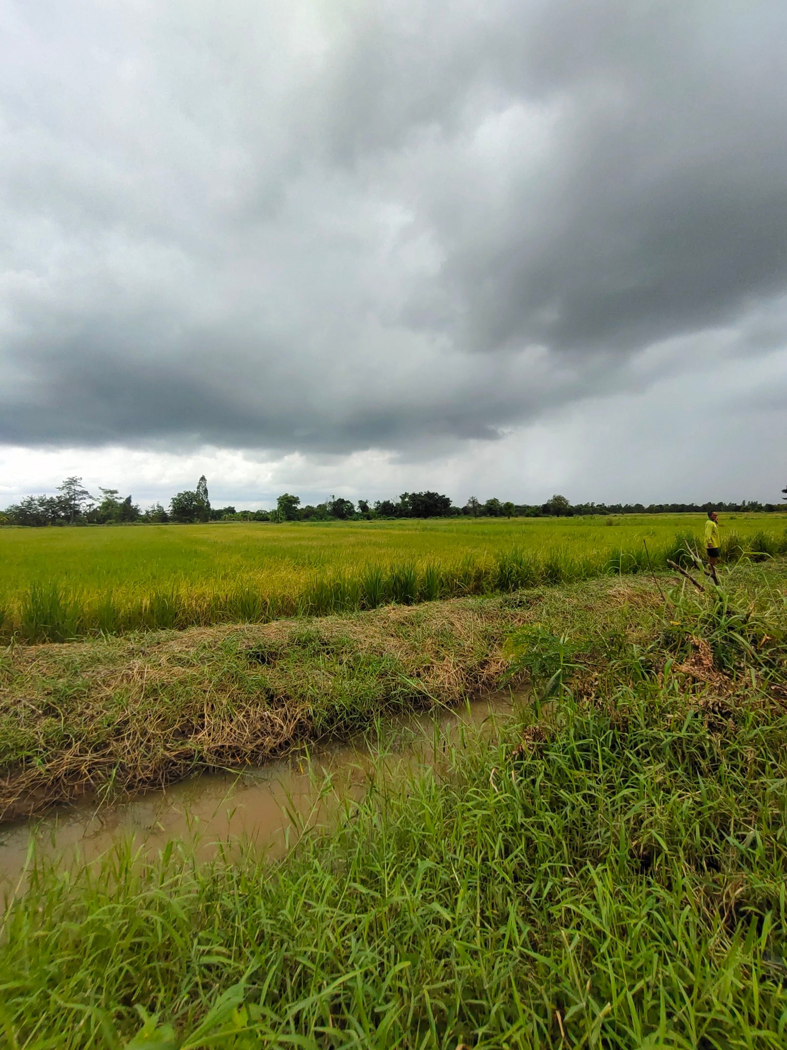 ที่ดินเปล่า เมืองขอนแก่น 4-3-18.5