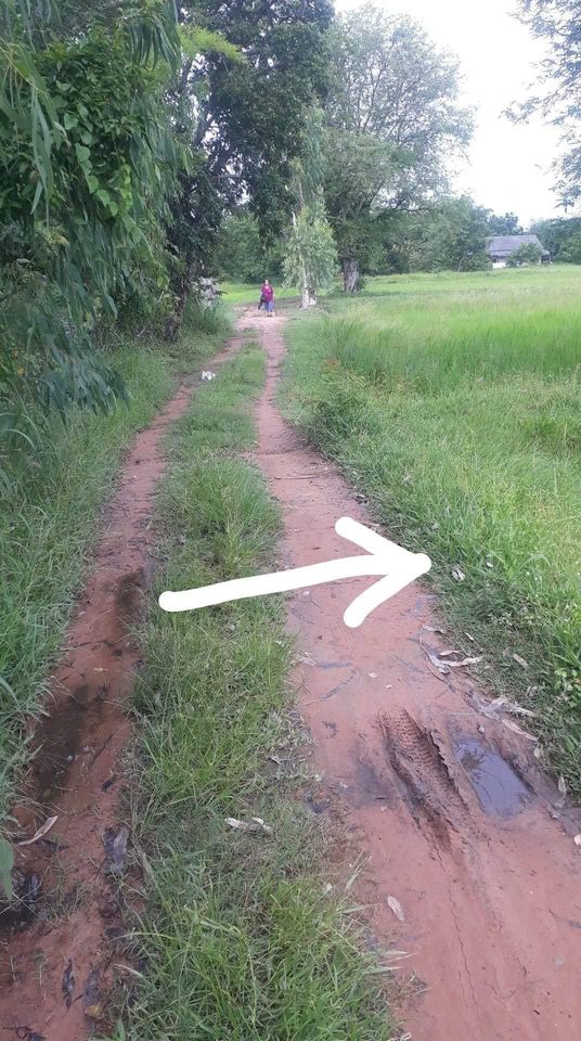 ขายที่ดิน มหาสารคาม 1 ไร่