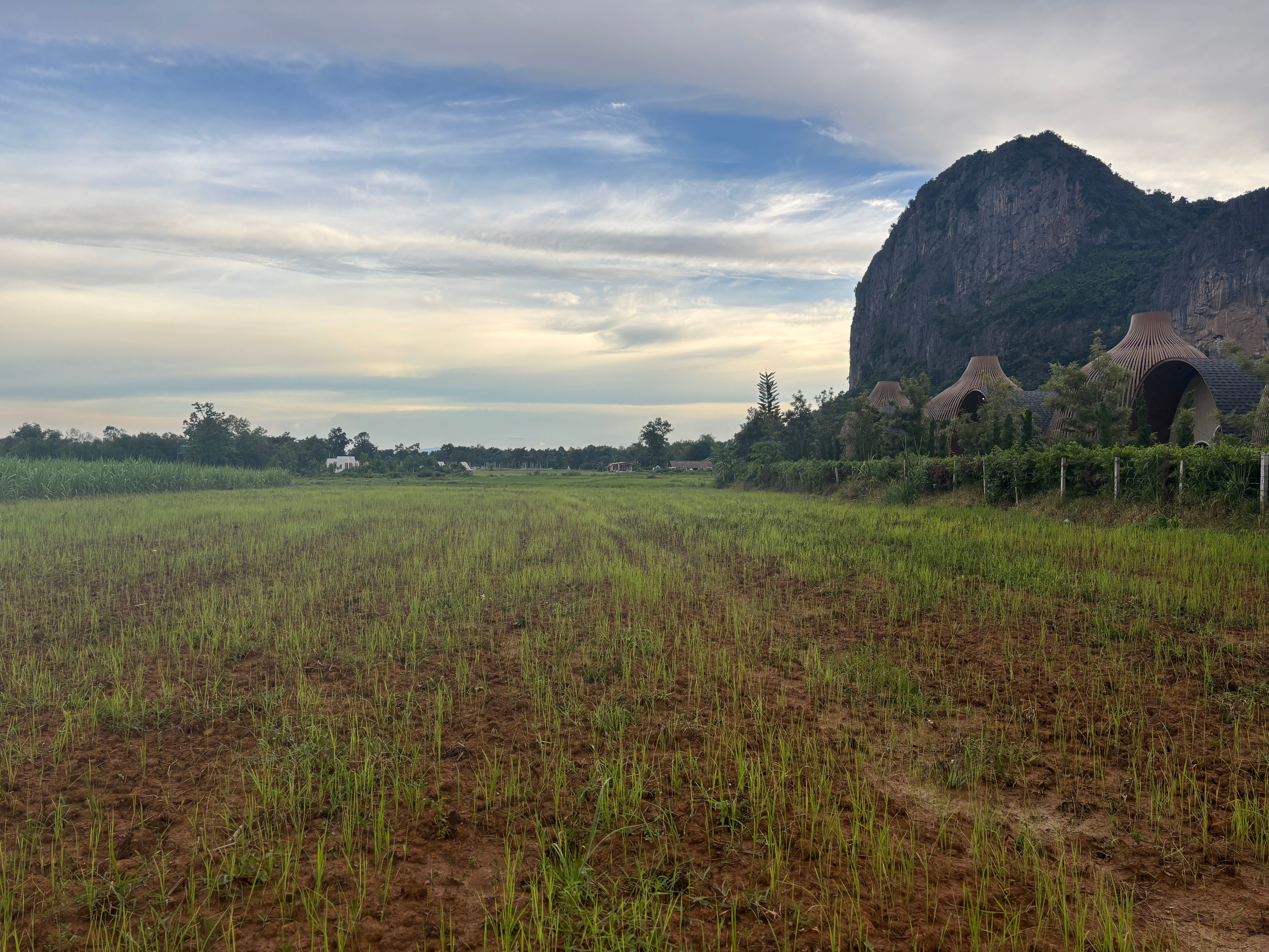 ที่ดินใกล้ภูเขา (ภูผาม่าน ด้านหลังผาม่านคีรีหมอก)