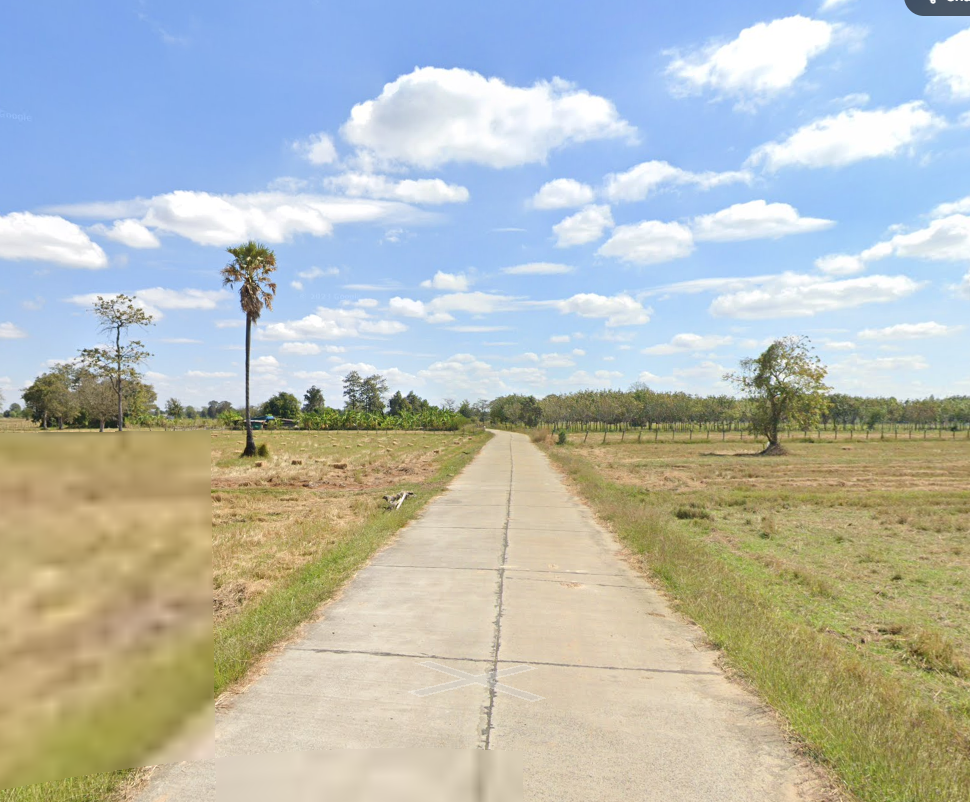 ขายที่ดิน มีโฉนด ครุฑแดง นส4จ (82278)