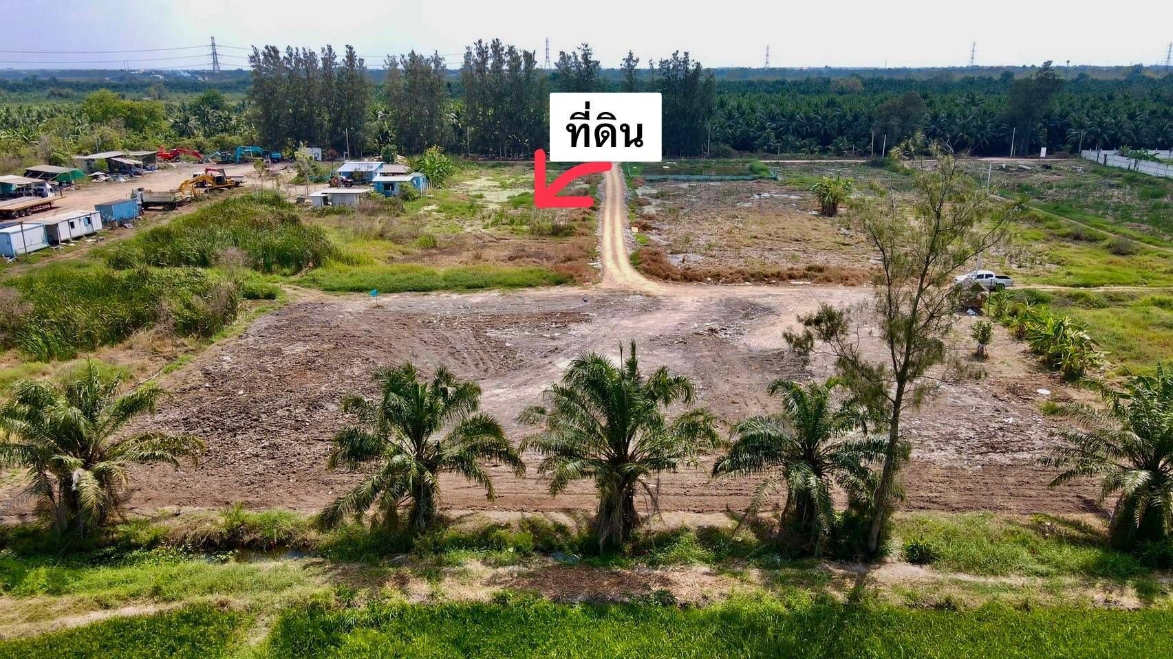 ที่ดินเงินผ่อน ซอยพนารัตน์ คลอง 9 หนองเสือ ปทุมธานี