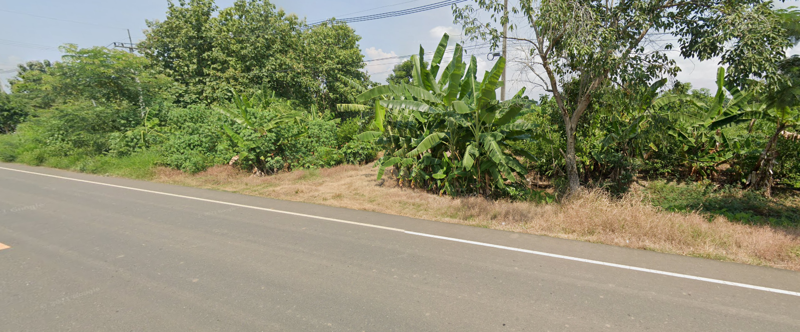 ขายที่ดินเพชรบูรณ์ 2-0-0.9