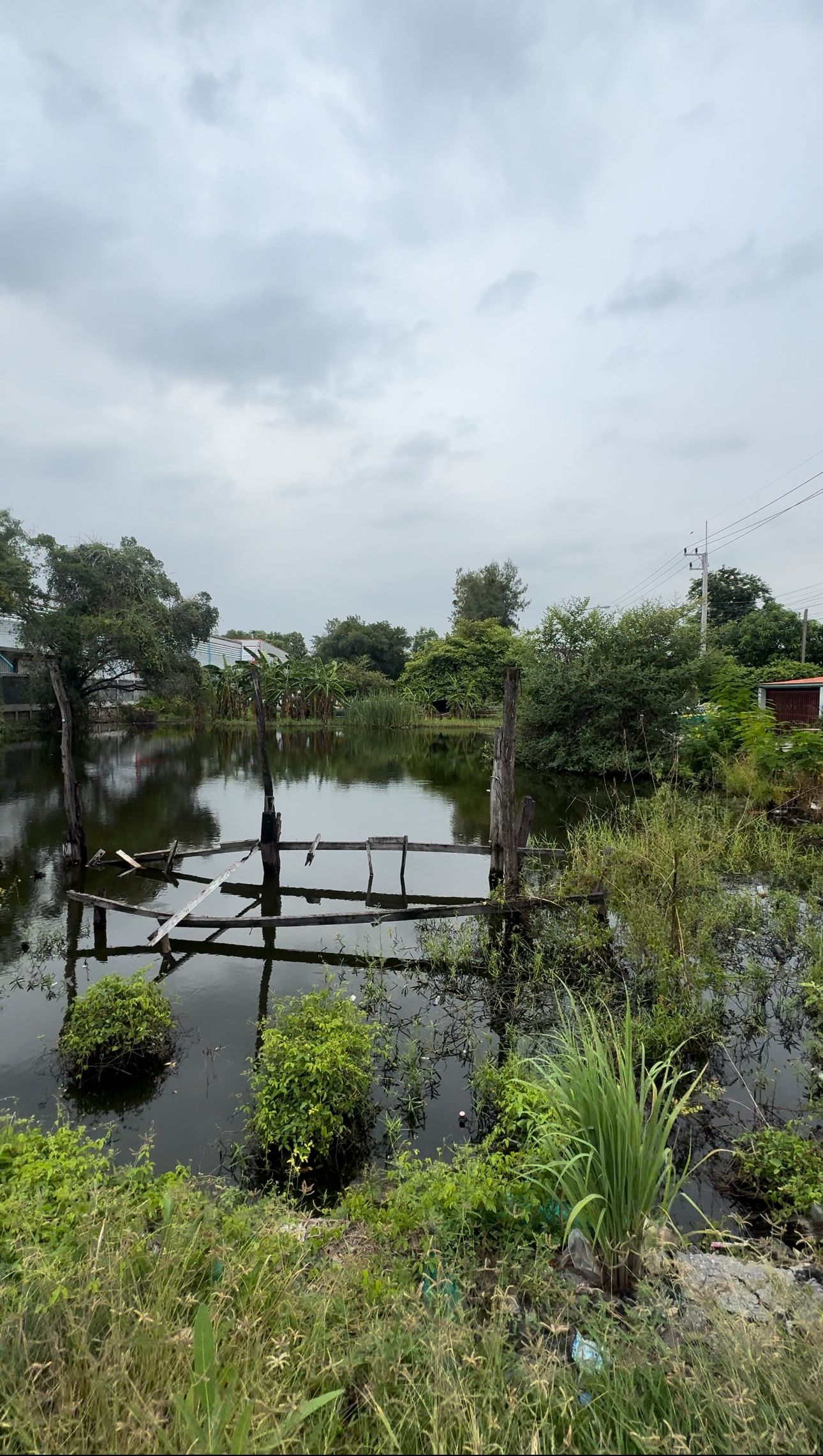 ขายที่ดิน จ.ปทุมธานี ลำลูกกา (ธัญญะ)