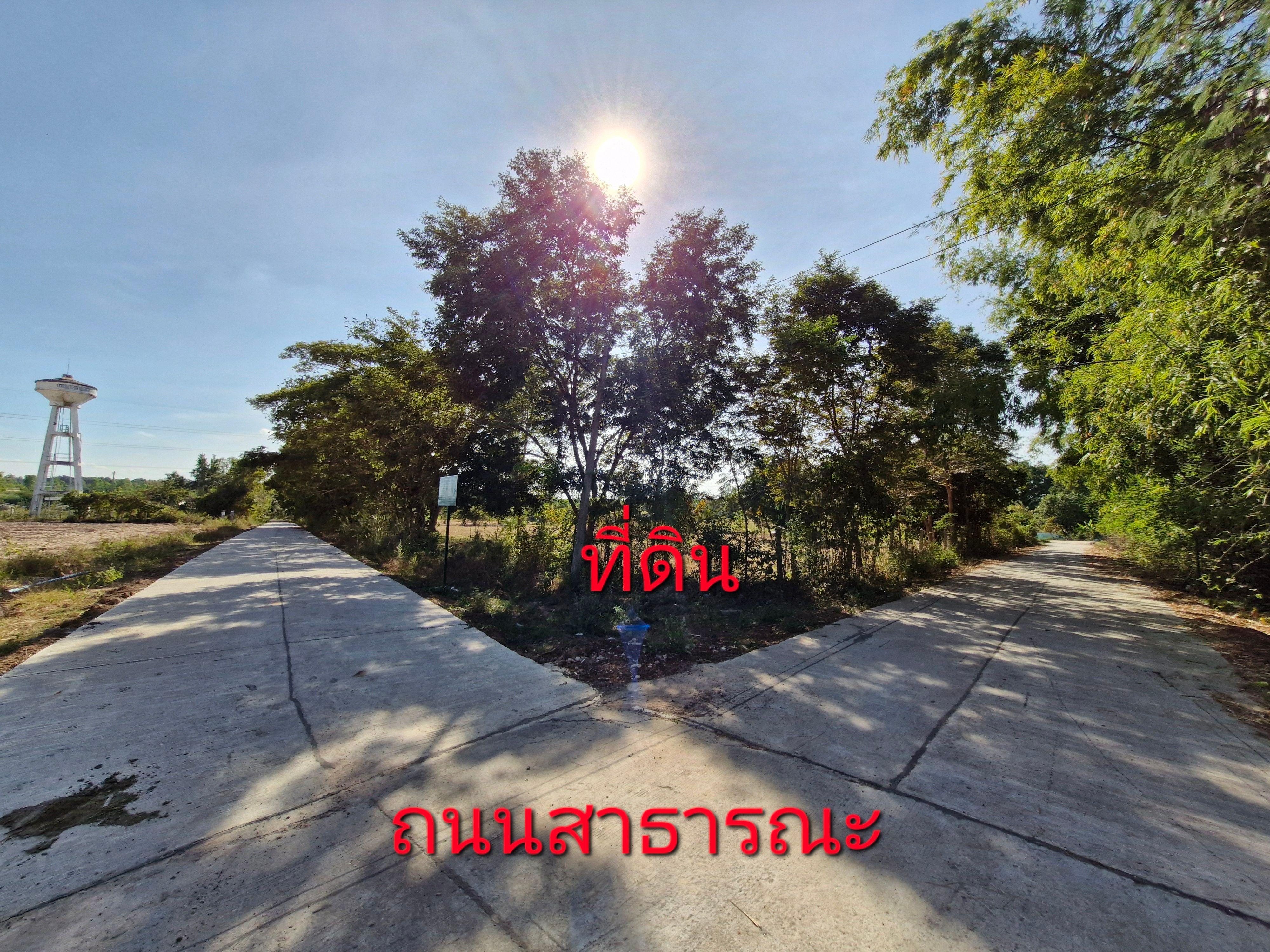 ขายที่ดินสวน
