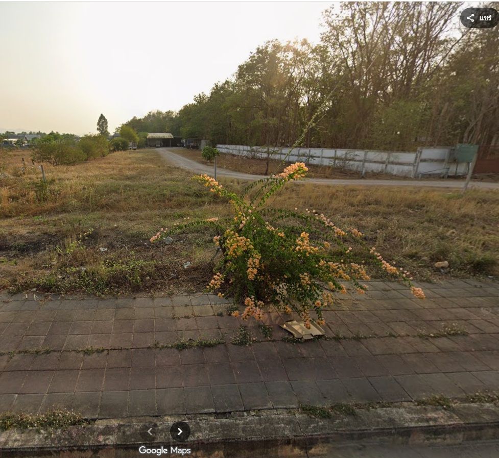 ขายที่ดินและสิ่งปลูกสร้าง2 ไร่ 80.8 ตร.ว. ใกล้โรงพยาบาลจุฬารัตน์ แม่สอด จ.ตาก