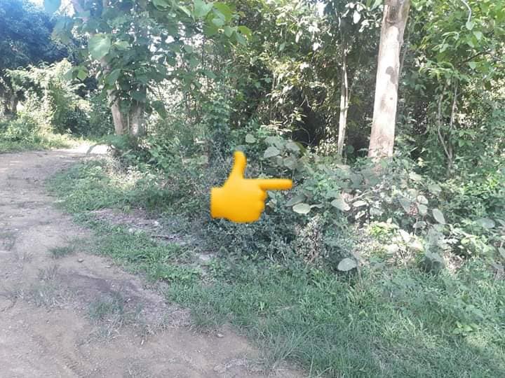 ที่ดินเปล่า อุตรดิตถ์ 1-2-59