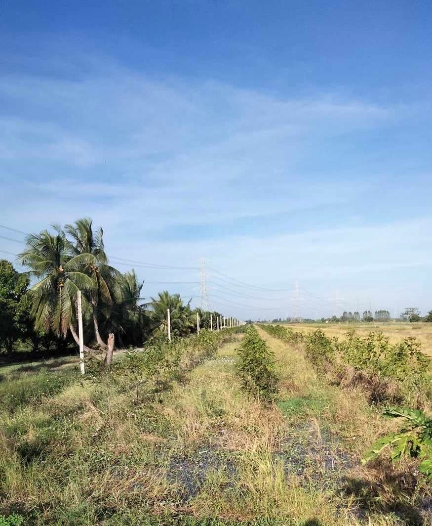 ขายที่ดินนนทบุรี เจ้าของขายเอง
