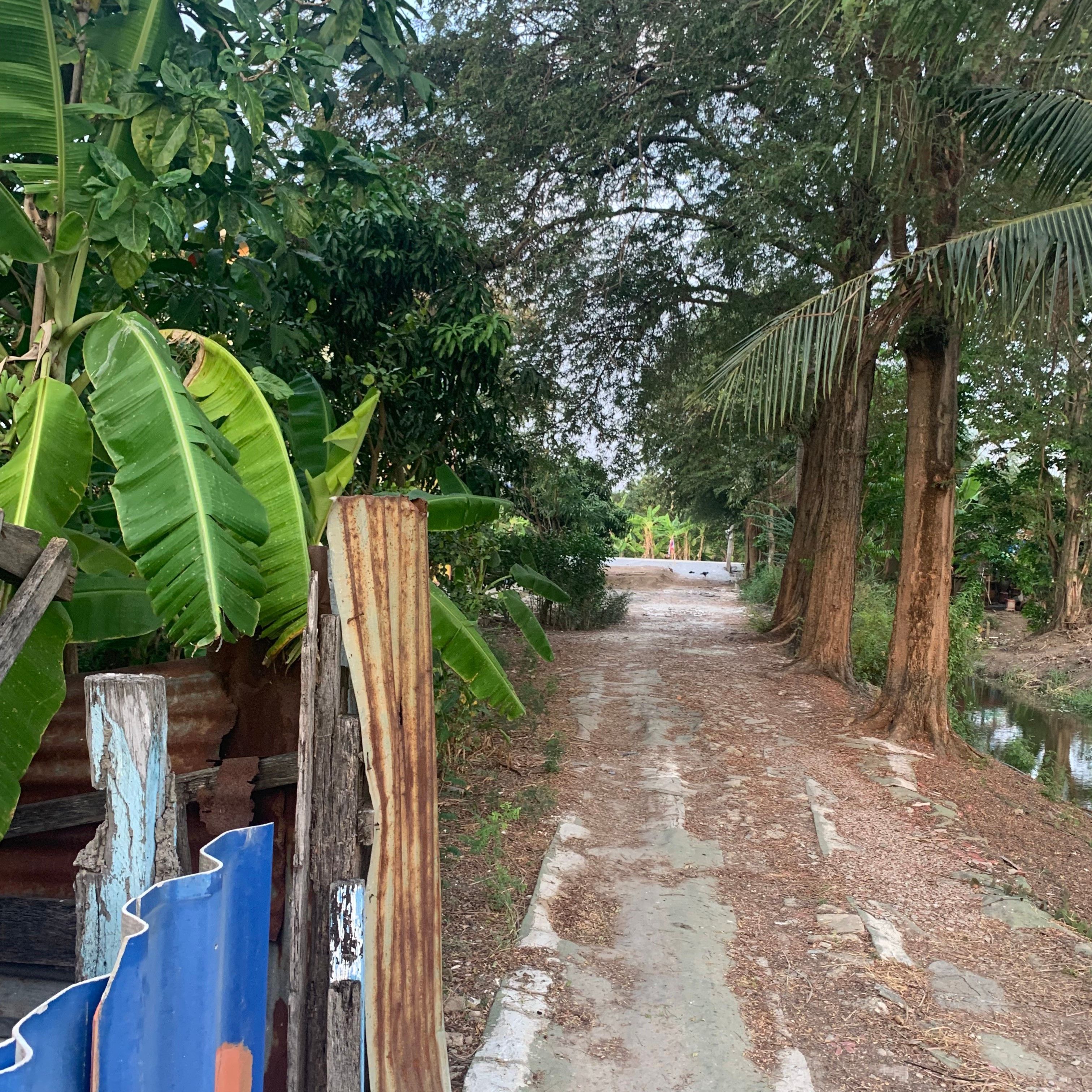 ที่ดินบ้านสวน