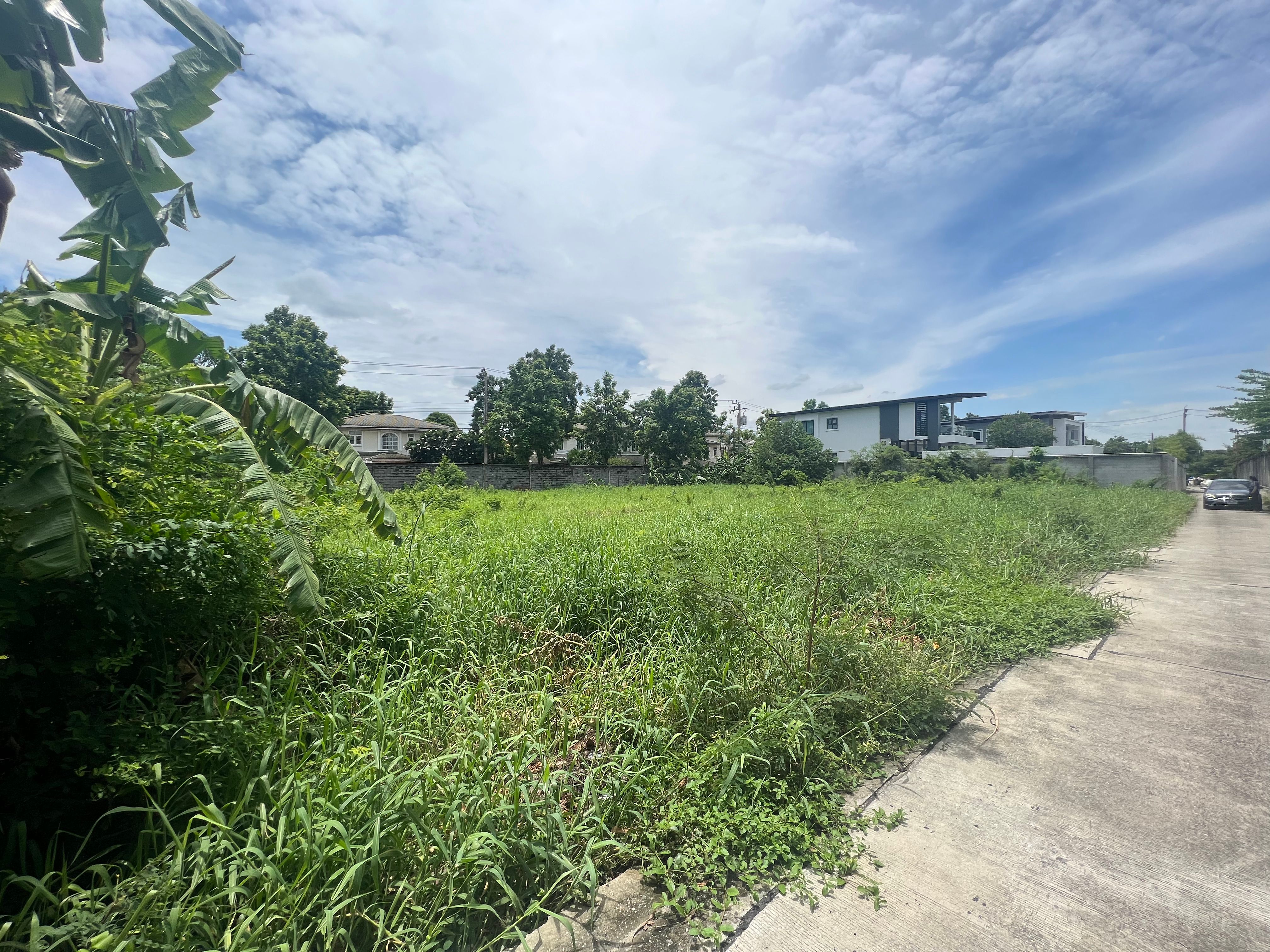 ขายที่ดินเรียบทางด่วนรามอินทรา ใกล้เซ็นทรัล อีสวิว ราคาถูก ขนาดที่ดิน 1 ไร่ 49 ตรว หน้ากว้าง 48ม.
