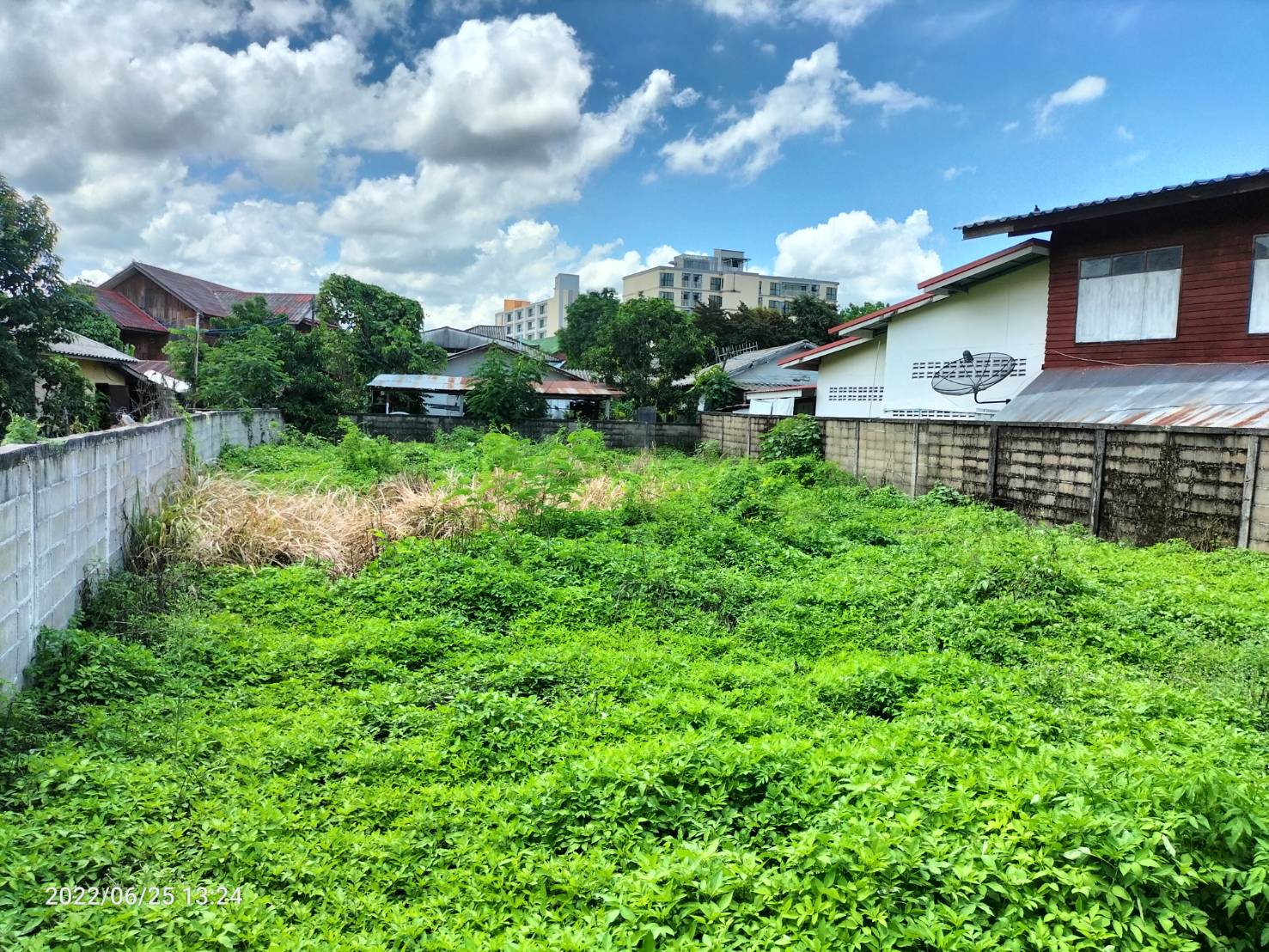 ที่ดินแปลงสวย ในเมือง เหมาะ แก่การปลูกบ้าน เชียงราย 1 งาน