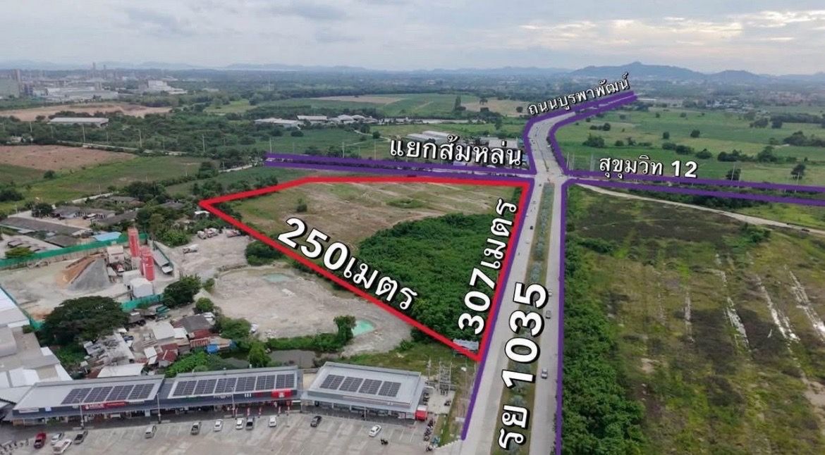 ขายที่ดิน ผังม่วงลาย เขต EEC อ.ดมืองระยอง จ.ระยอง