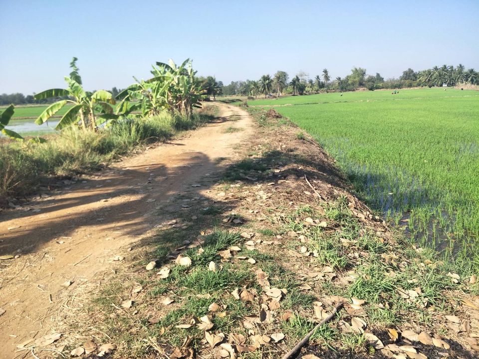 ที่ดิน ที่นาทำเลสวย ติดคลอง ชัยภูมิ 14-1-1 ไร่