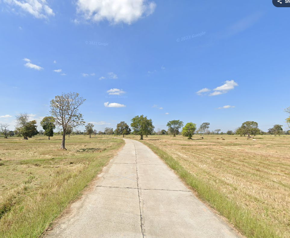 ขายที่ดิน มีโฉนด ครุฑแดง นส4จ (82278)
