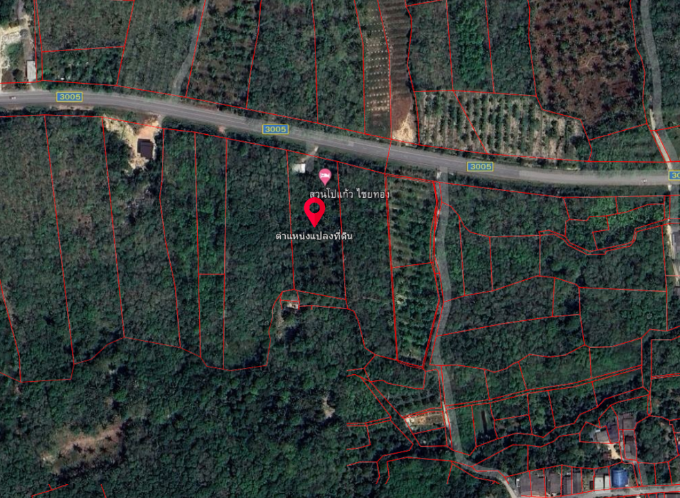 ขายที่ดินสงขลา แปลงสวย ติดถนนเส้น 3005 ต.ทุ่งหวัง อ.เมืองสงขลา 3-1-35