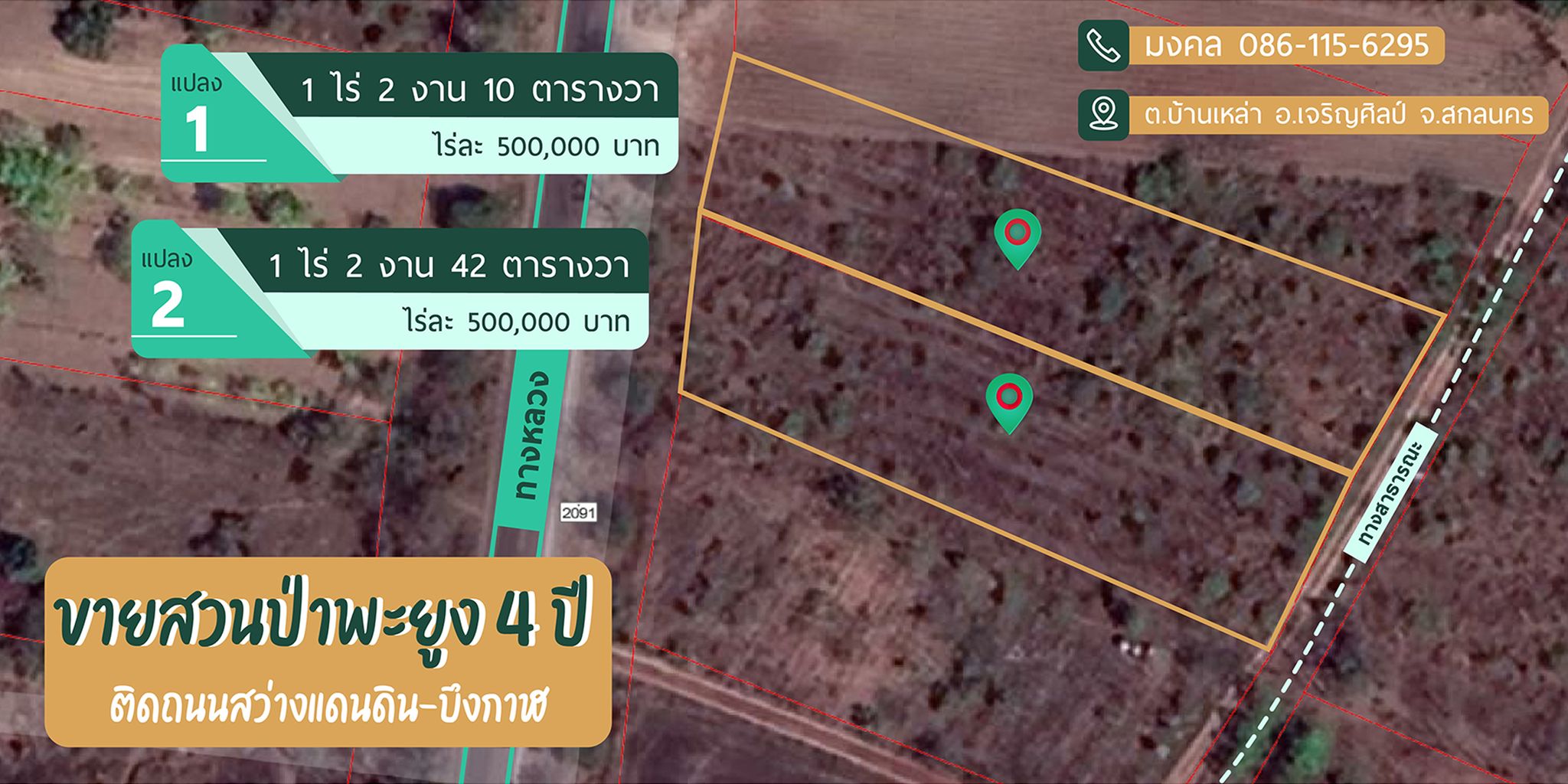 ที่ดิน พร้อมพะยูงไทยอายุ 4 ปี สกลนคร 1-2-42