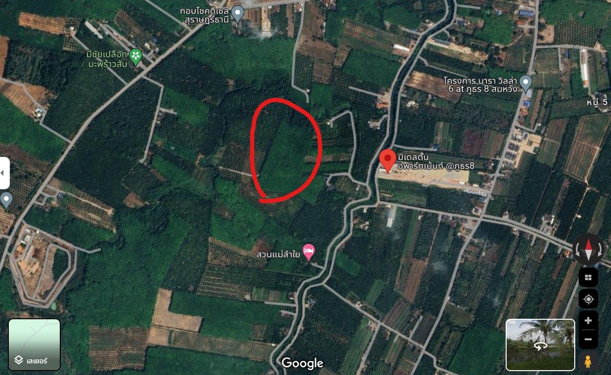 ขายที่ดินสุราฎร์ธานี ที่ดินเกษตร เมืองสุราษฎฯ 5-3-71.1 ไร่.