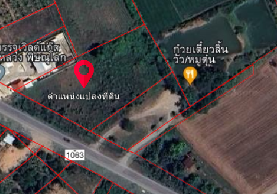 ที่ดินวัดพริก ติดก๋วยเตี๋ยวลิ้นวัว 2 ไร่ 3 งาน 98 ตร.ว