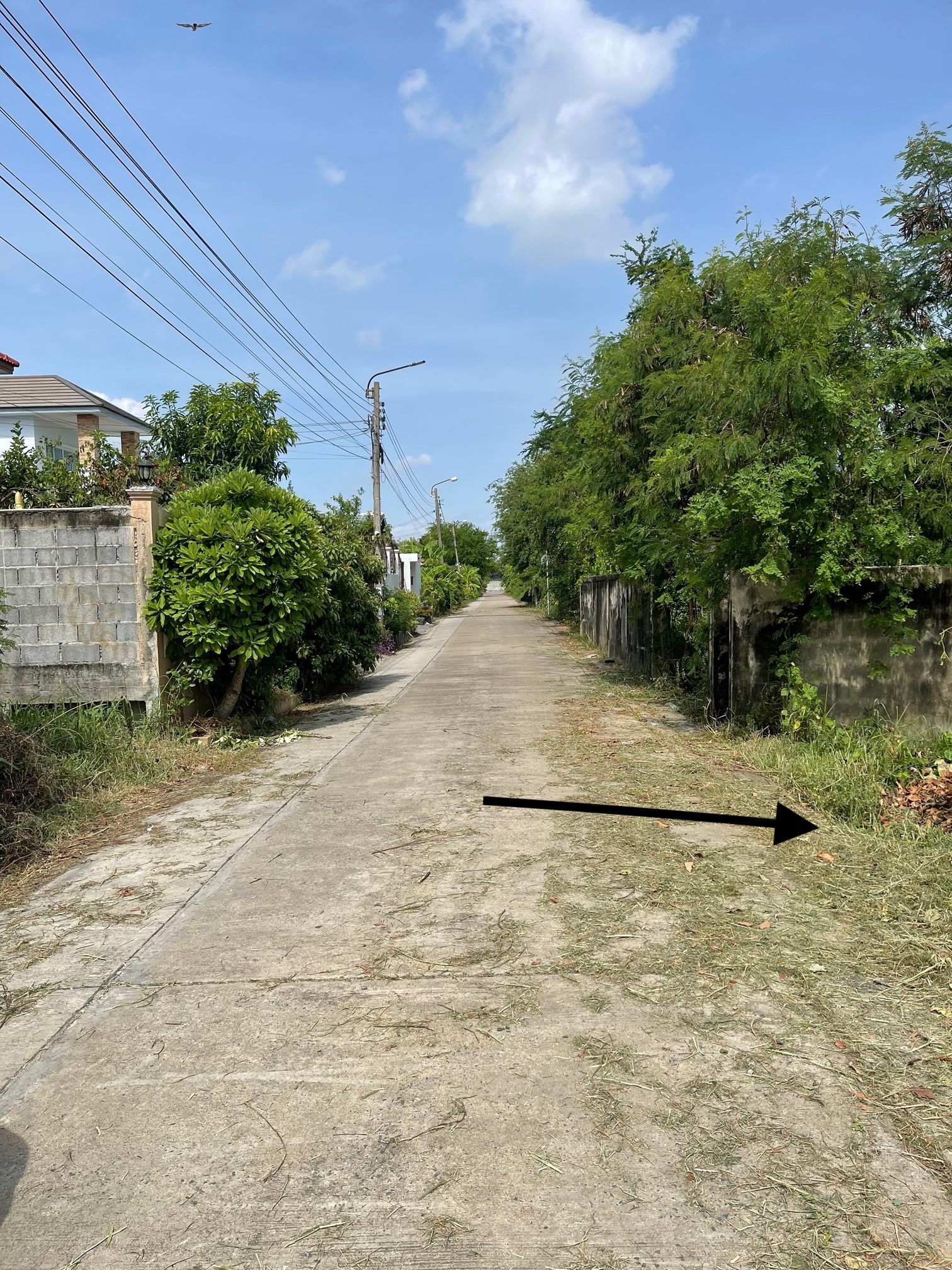 ชายที่ดินหนองแขม กรุงเทพ 1 งาน ราคาด่วน ตร.ว.ละ 25,000 เท่านั้น 