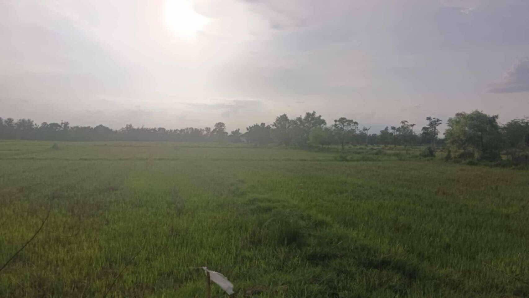 ขายที่ดินลำพูน อำเภอบ้านธิ ที่ดินแปลงสวย บรรยากาศดี ติดถนนสาธารณะ สามารถลงทุนได้หลากหลาย 12-2-54.7 ไร่.