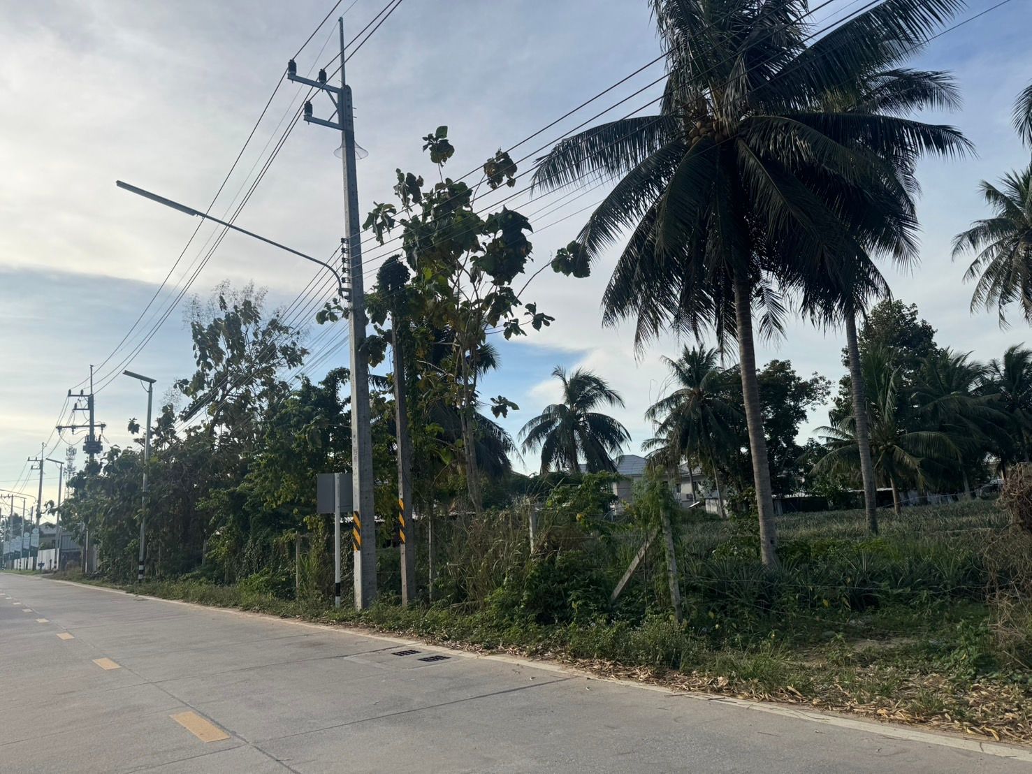 ขายที่ดิน 8-1-93.3 ไร่ พันเสด็จนอก เขาคันทรง-ศรีราชา ติดหมู่บ้านจัดสรร ใกล้ถ.331 และใกล้นิคมอุตสาหกรรม
