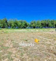 ที่ดินใกล้ชายหาด บางสะพาน ประจวบคีรีขันธ์ 2 งาน