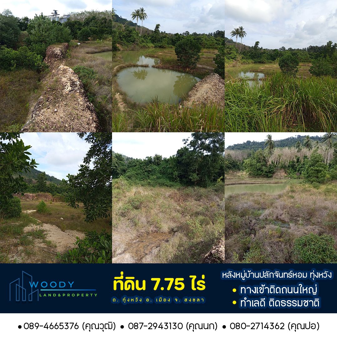 ขายด่วน!! ที่ดิน 7.75 ไร่ ทุ่งหวัง สงขลา หลังหมู่บ้านปลักจันทร์ 