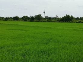 ขายที่ดินแปลงใหญ่ สามโคก ปทุมธานี