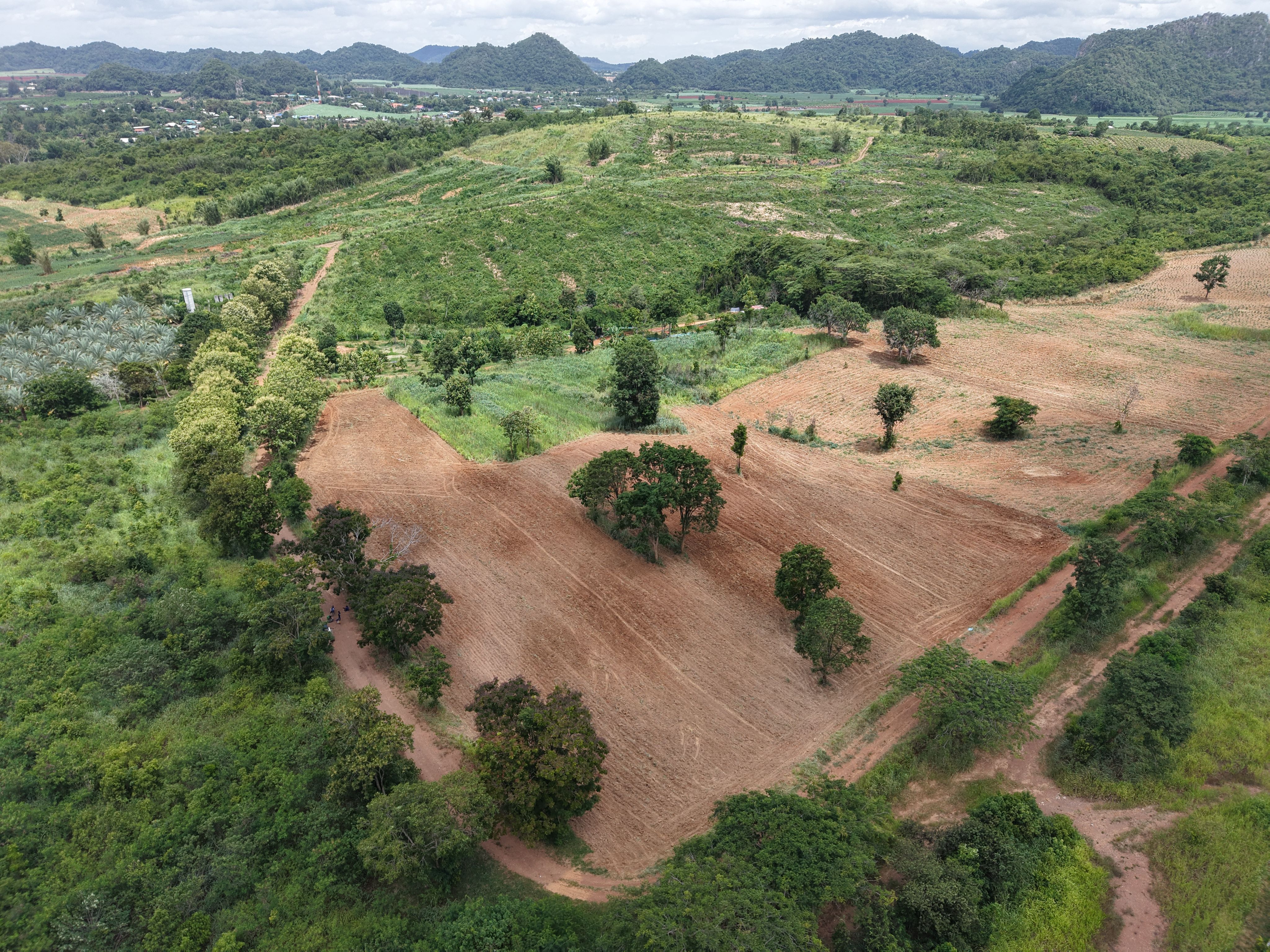 ไร่ละ 1,800,000 บาทโฉนดพร้อมโอน ที่บนเนินเขา วิวเขายายเที่ยง