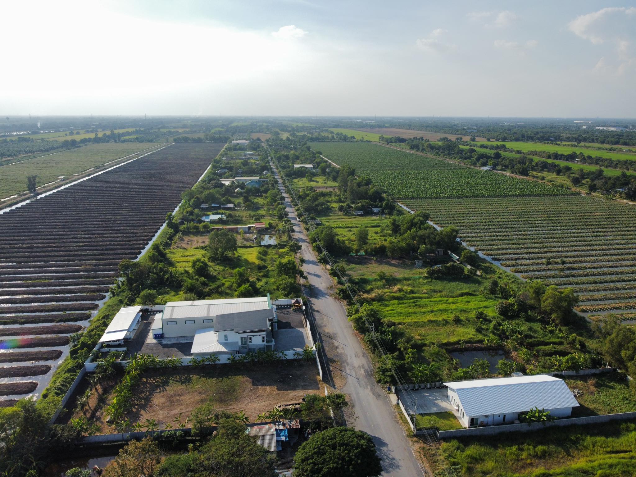 ขายที่ดิน ที่เปล่าแปลงสวย หนองเสือ ปทุมธานี 0-3-0