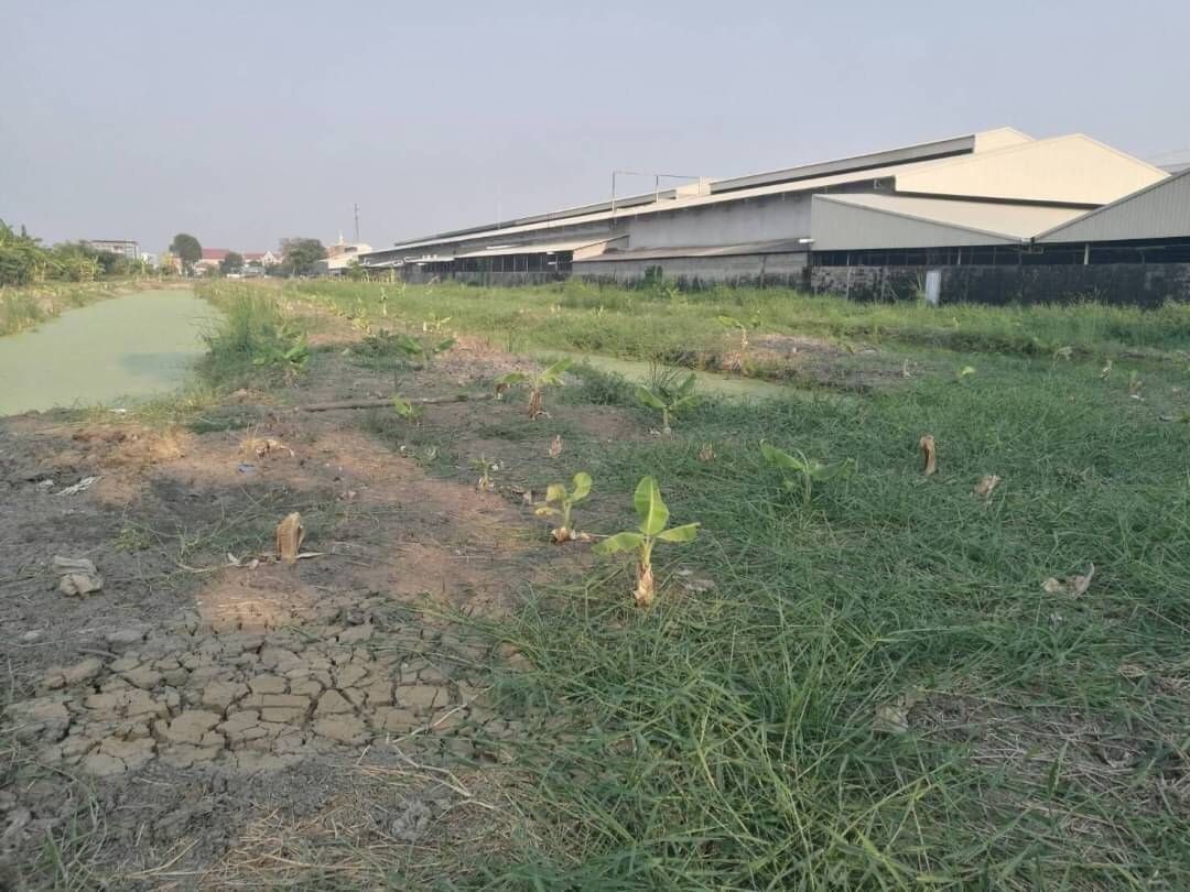 ขายที่ดินสมุทรปราการ อำเภอบางเสาธง ที่ดินสวยบางเสาธง ติดคลองและถนน