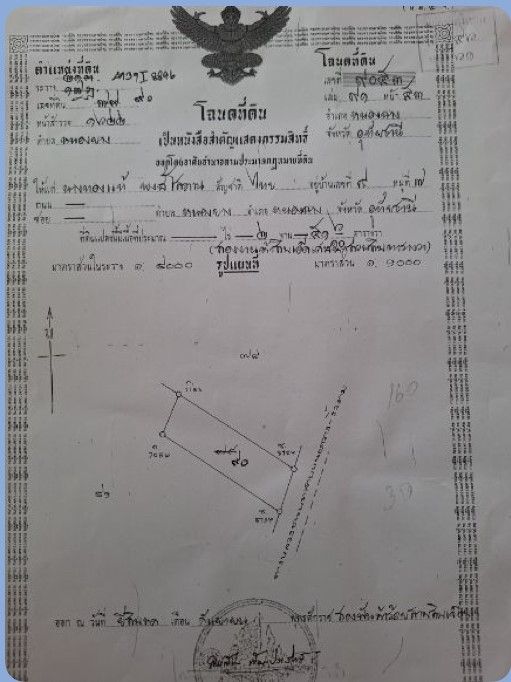 ขายที่ดิน (2 โฉนดติดกัน) อ.หนองฉาง จ.อุทัยธานี ตำบลหนองยาง เนื้อที่ 11 ไร่ 