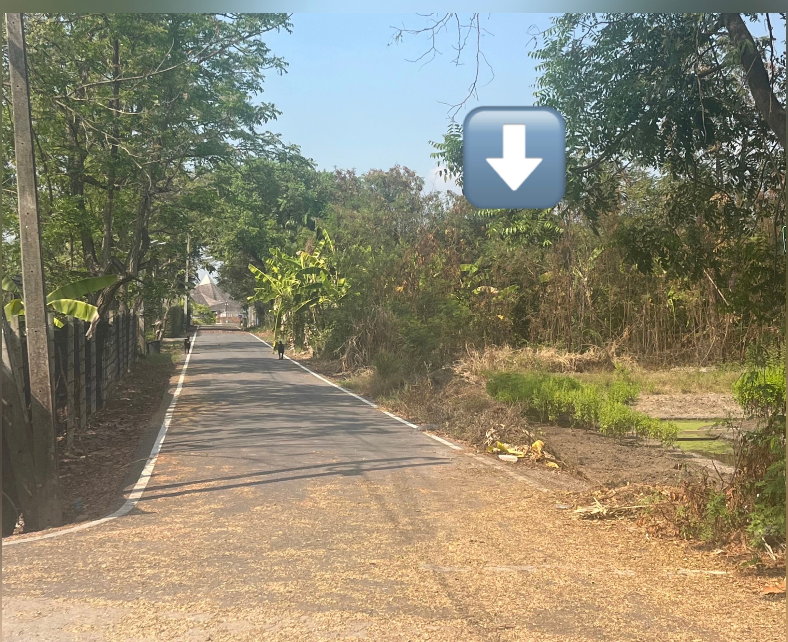 ขายที่ดินนนทบุรี บางใหญ่  200ตรว. ต.บ้านใหม่ 