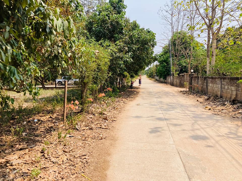 ที่ดินเปล่าในชุมชน ติดถนน 2ด้าน ลำพูน 145 ตรว.