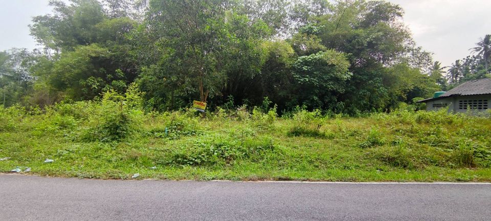 ที่ดิน 61.1 ตรว.ติดถนนลาดยาง ในชุมชน ใกล้ศูนย์ราชการ อำเภอนาหม่อม จ.สงขลา