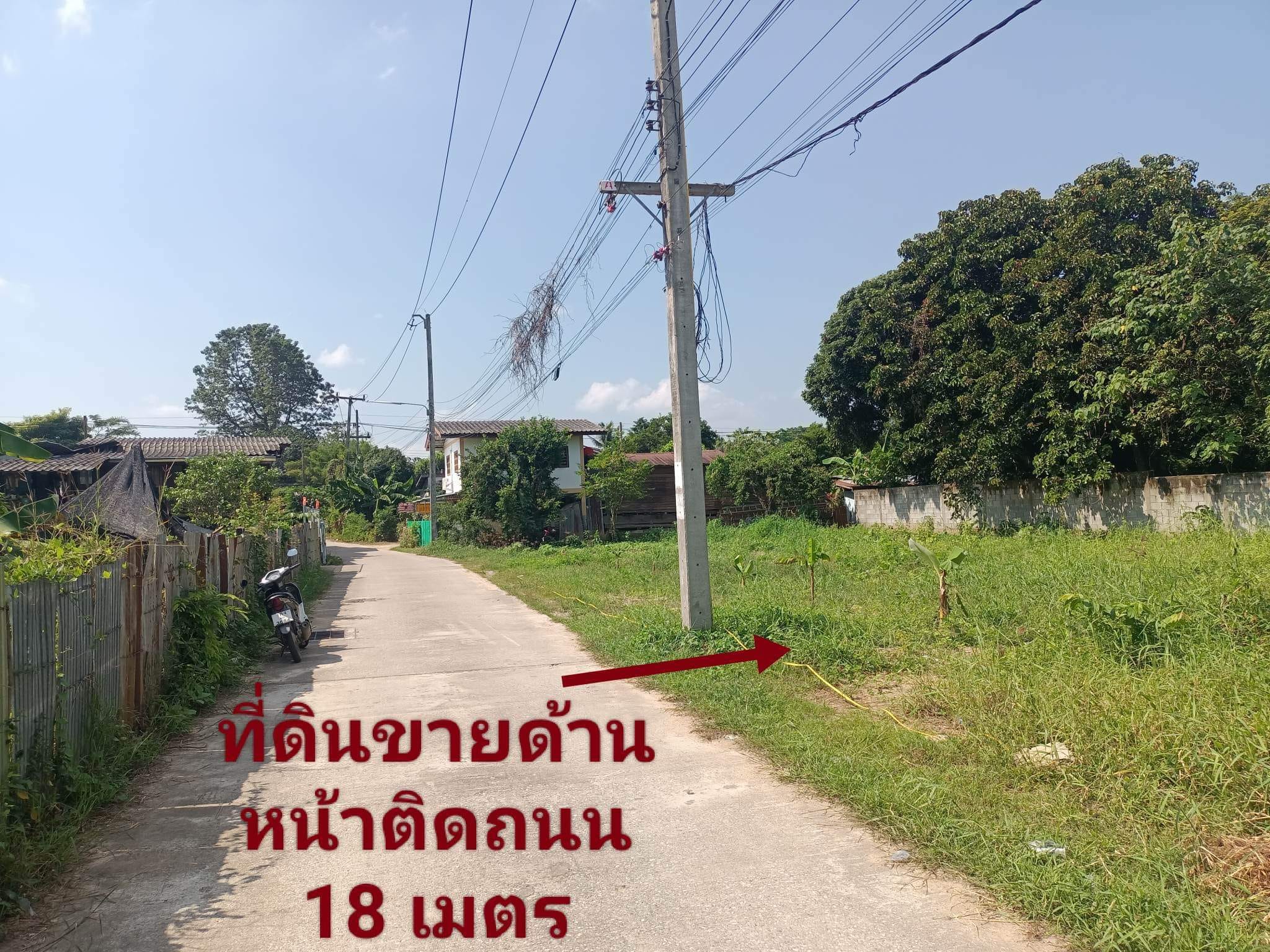 ขายที่ดิน ตาก 78.5 ตรว.