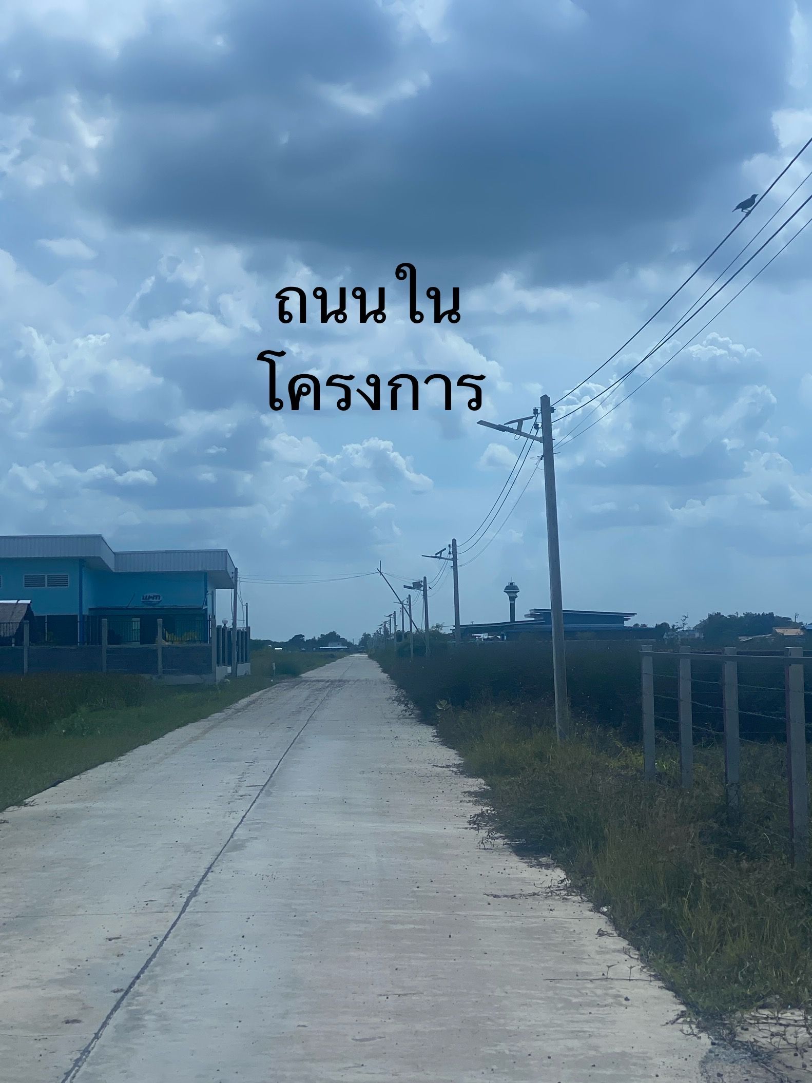 ที่ดินแปลงสวย แบ่งขาย 