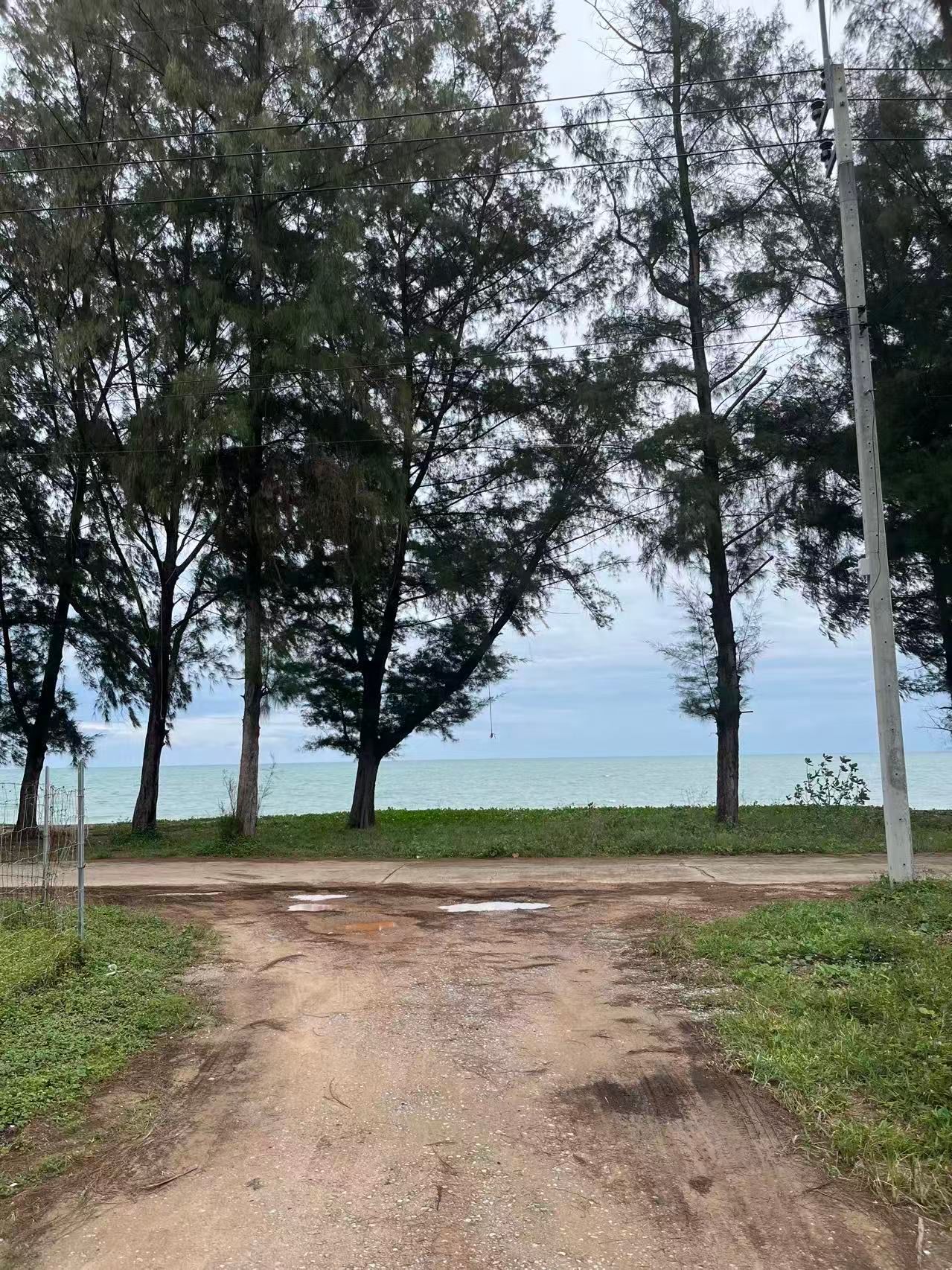 ขายด่วน! ที่ดิน 157ตรว. แปลงสี่เหลี่ยมสวยๆใกล้ชายหาด