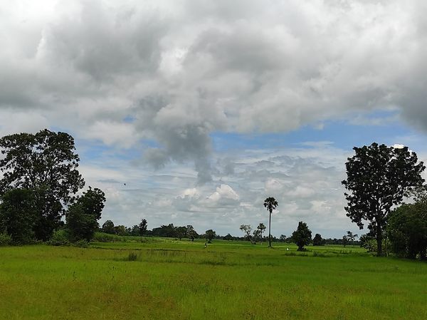 ขายที่ดินบุรีรัมย์ เมืองบุรีรัมย์ 10-1-0.4 ไร่